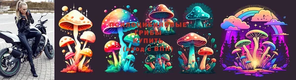 марки lsd Зеленокумск